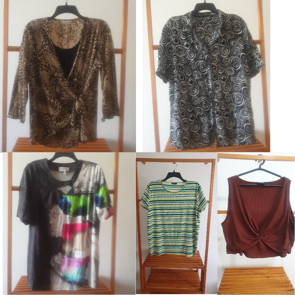 Pack taille 46=blouse tigger +chemise noir/blanc+pull twil +pull basic rayée +top marron 
