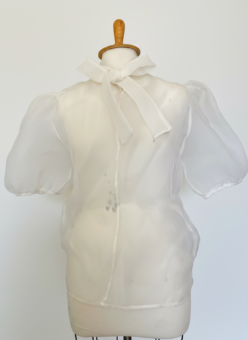 Chemise organdine 