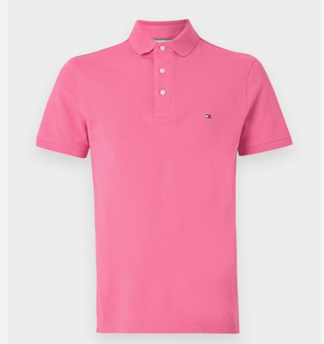 Polo tommy