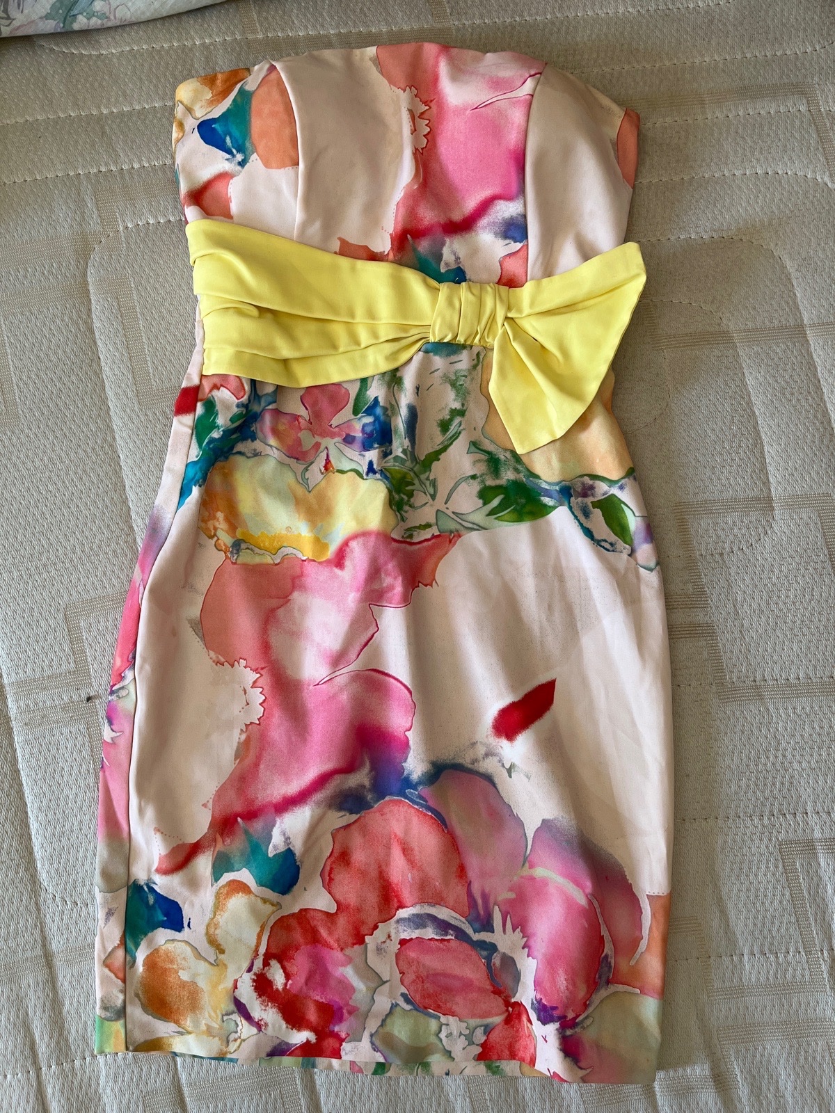 Robe dos nu