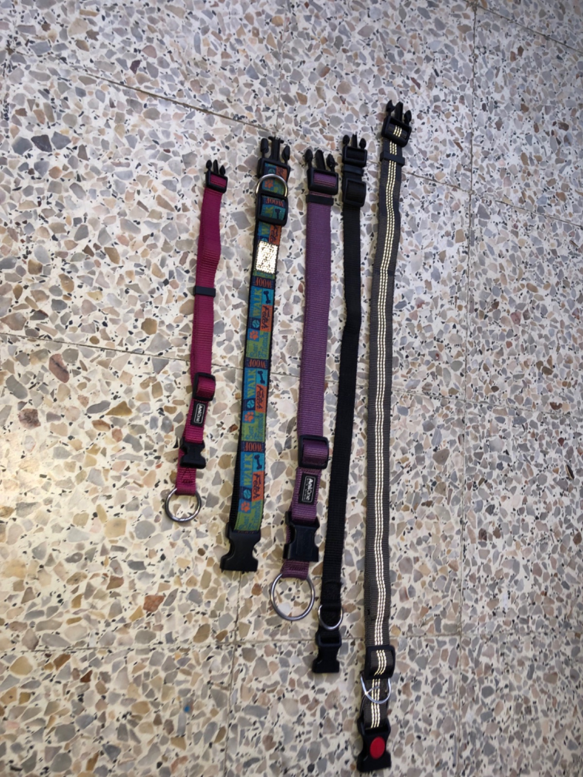 Collier chiens jdod 