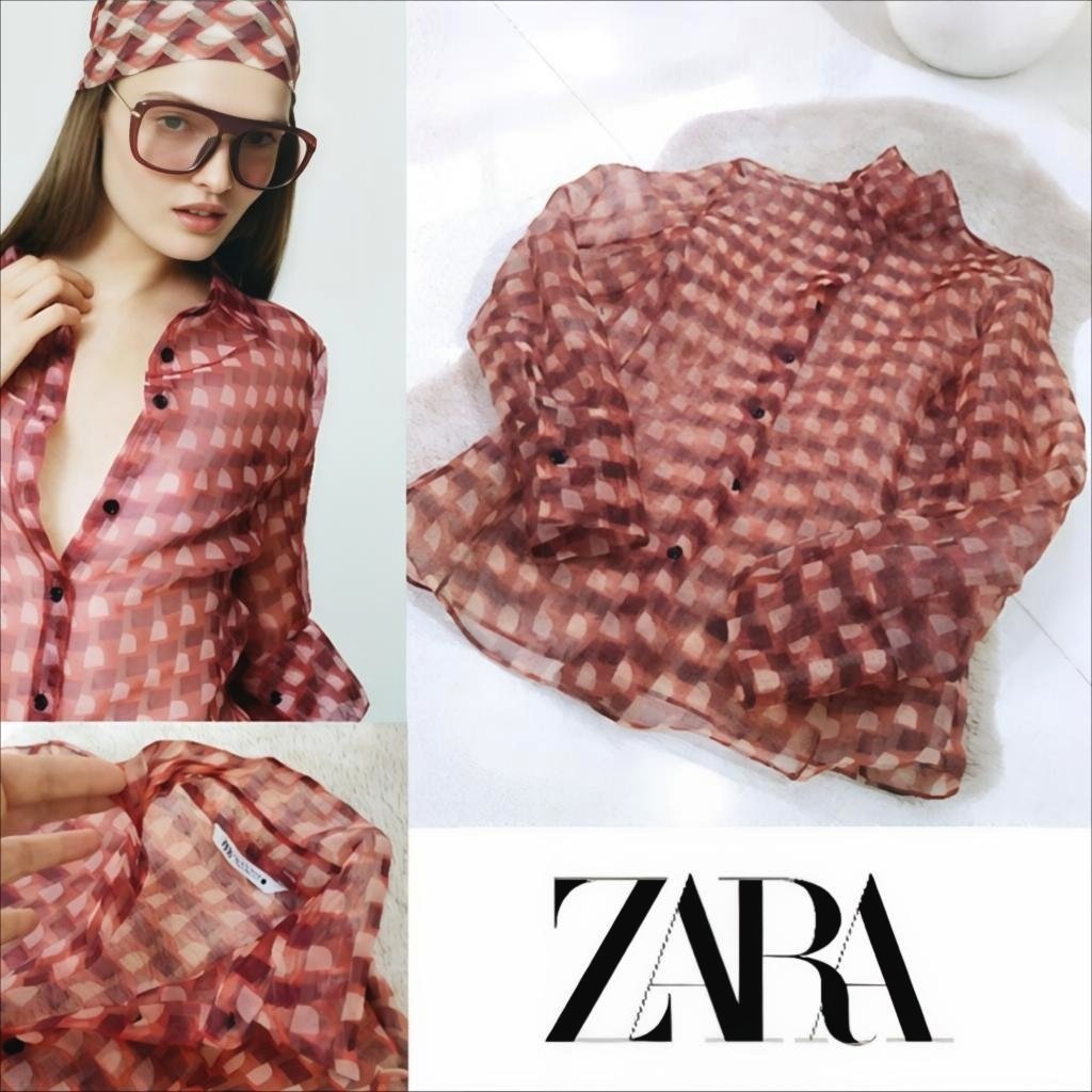 Zara organza bouffante 
