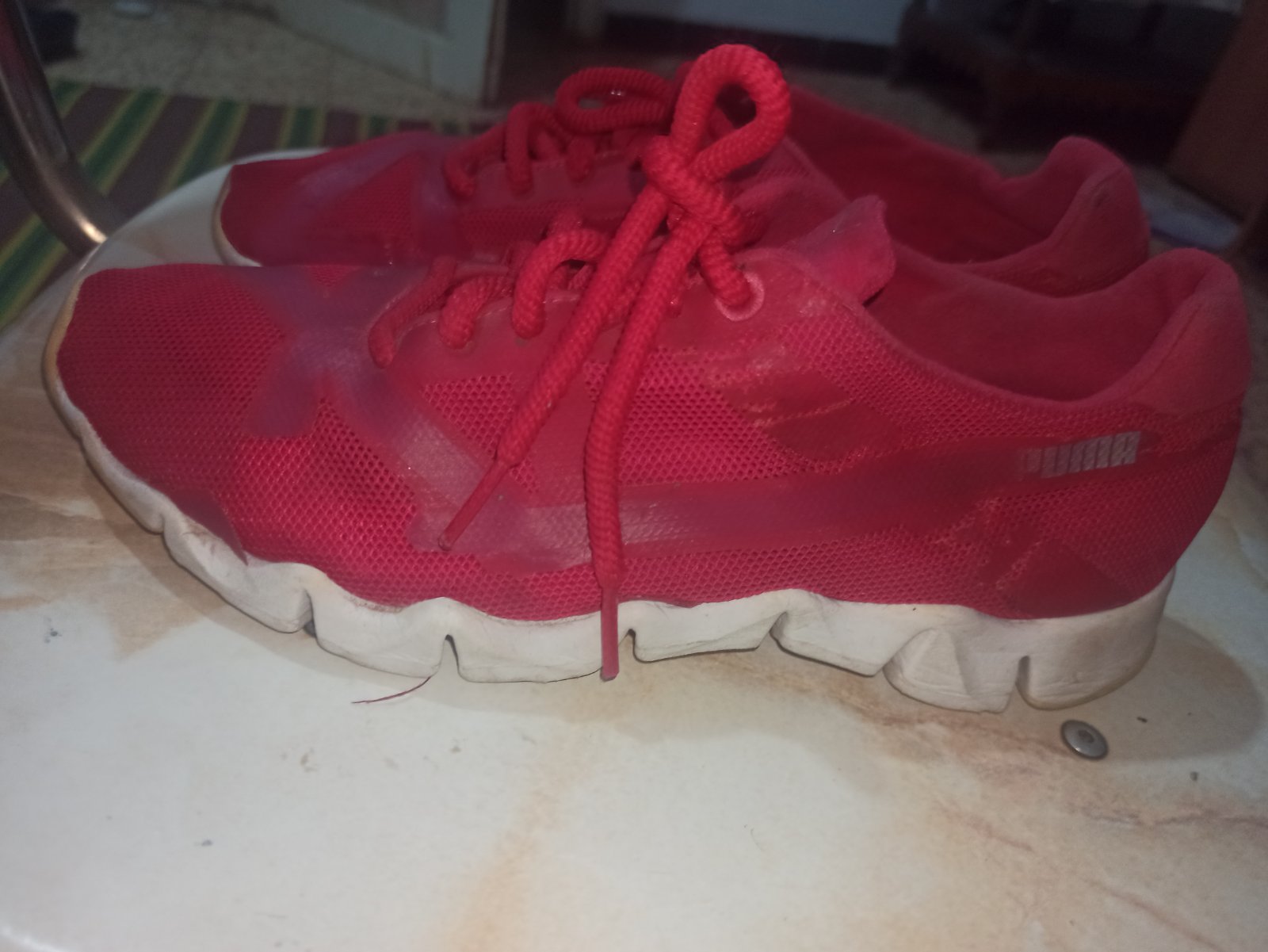 Basket puma