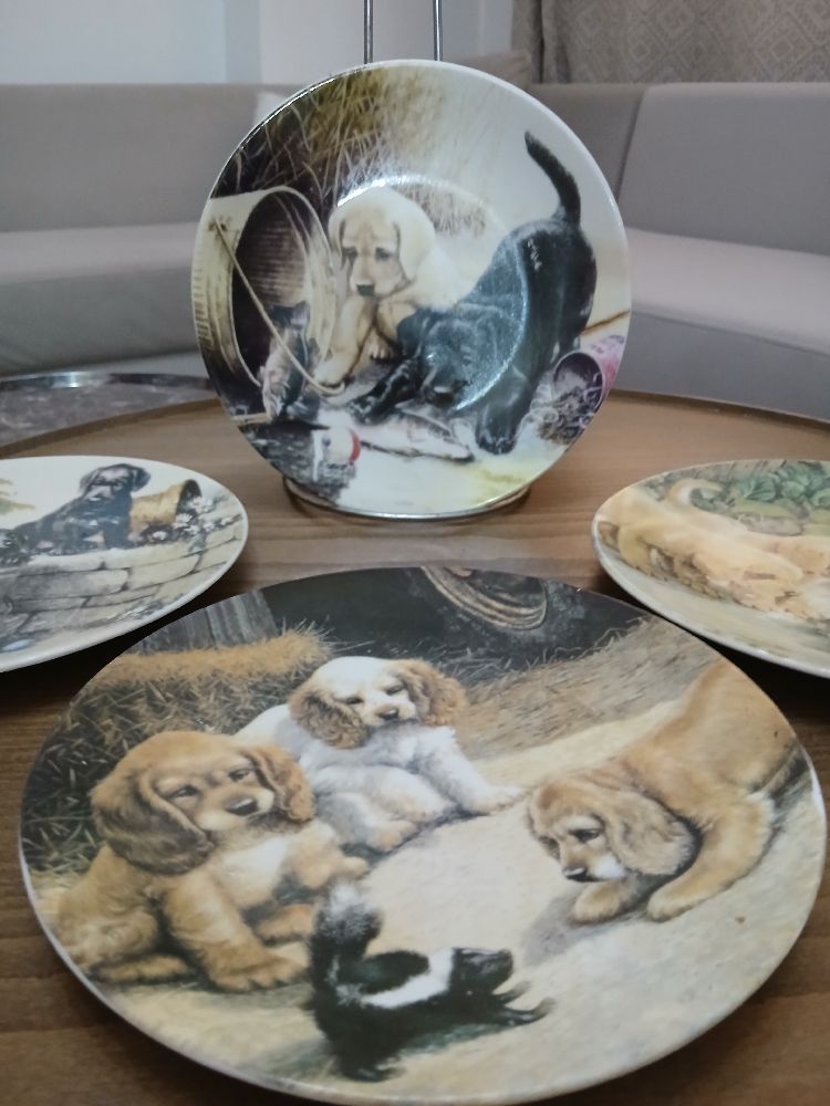 Des assiettes de collection en porcelainee