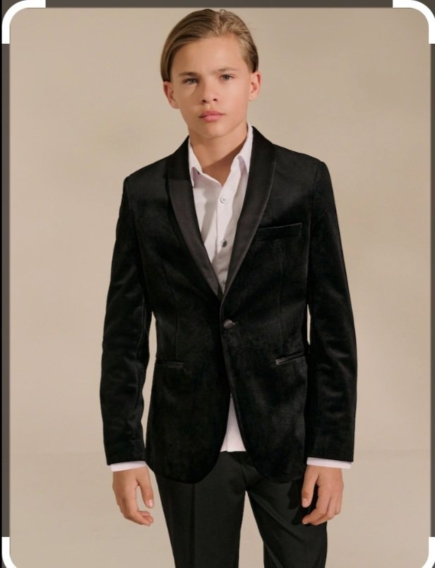 Vestes