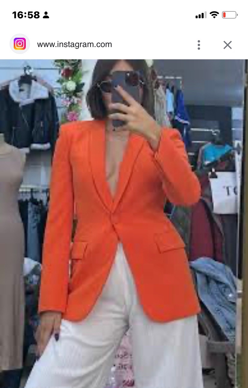 Blazer zara