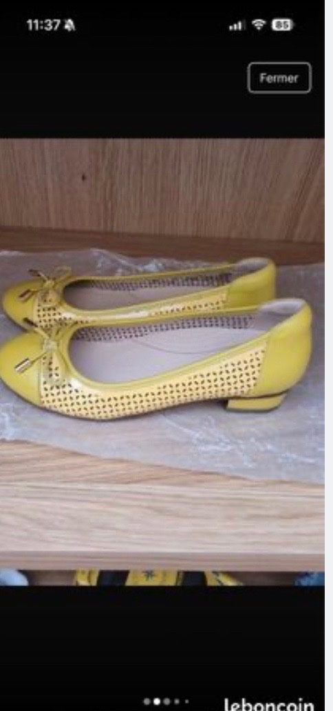 Mocassin