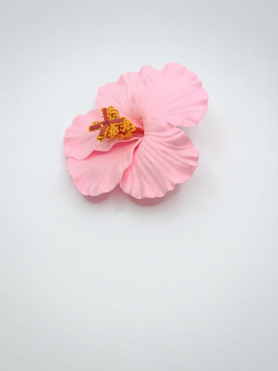 Accessoire cheveux 