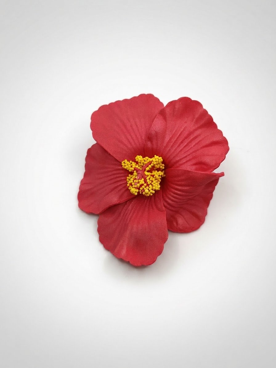Accessoire cheveux 