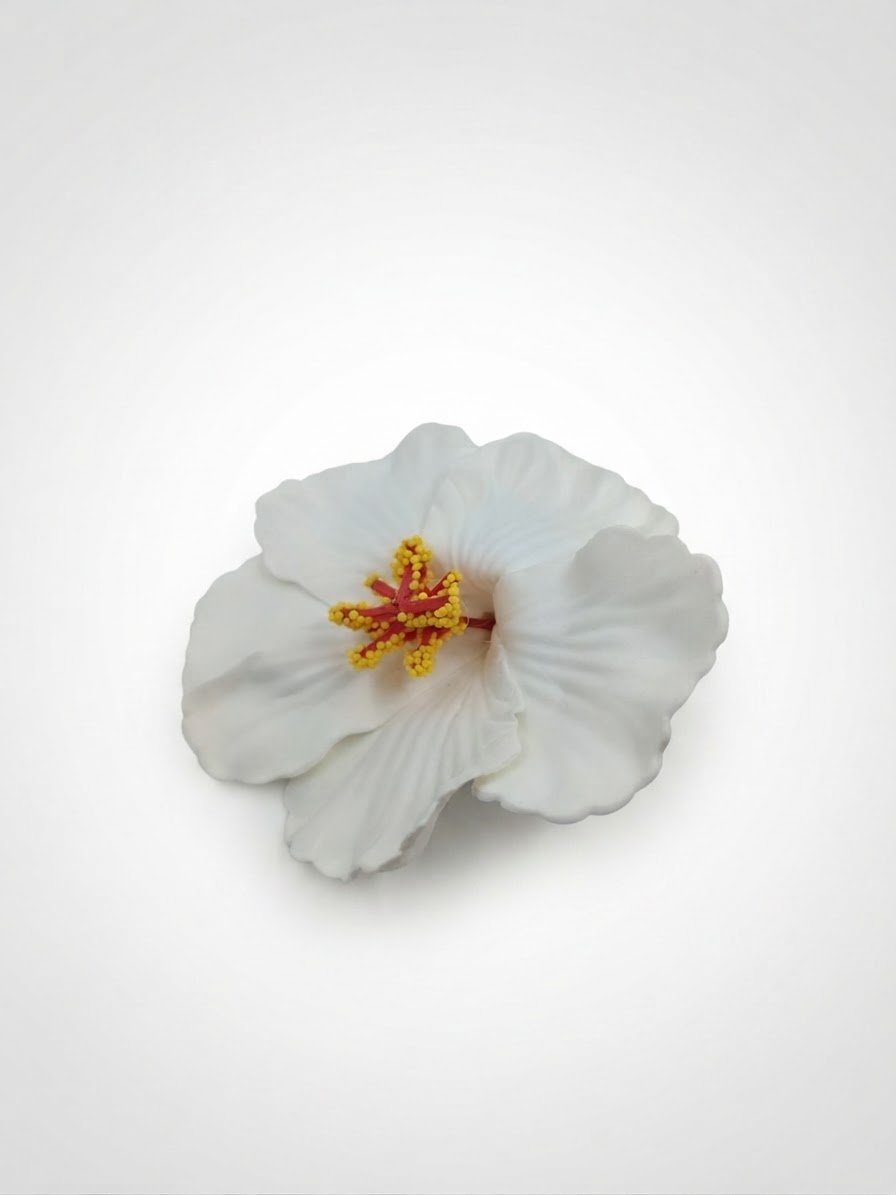 Accessoire cheveux 