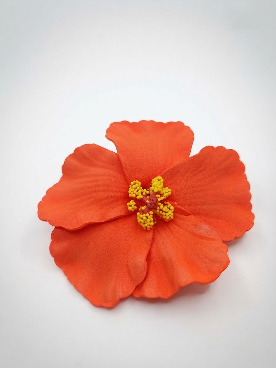 Accessoire cheveux 
