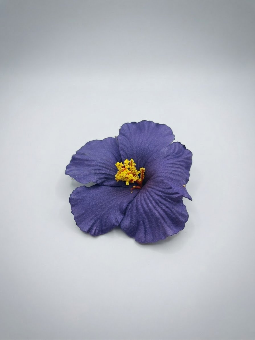 Accessoire cheveux 
