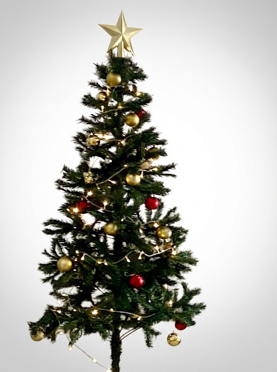 Sapin + couronnes de noel