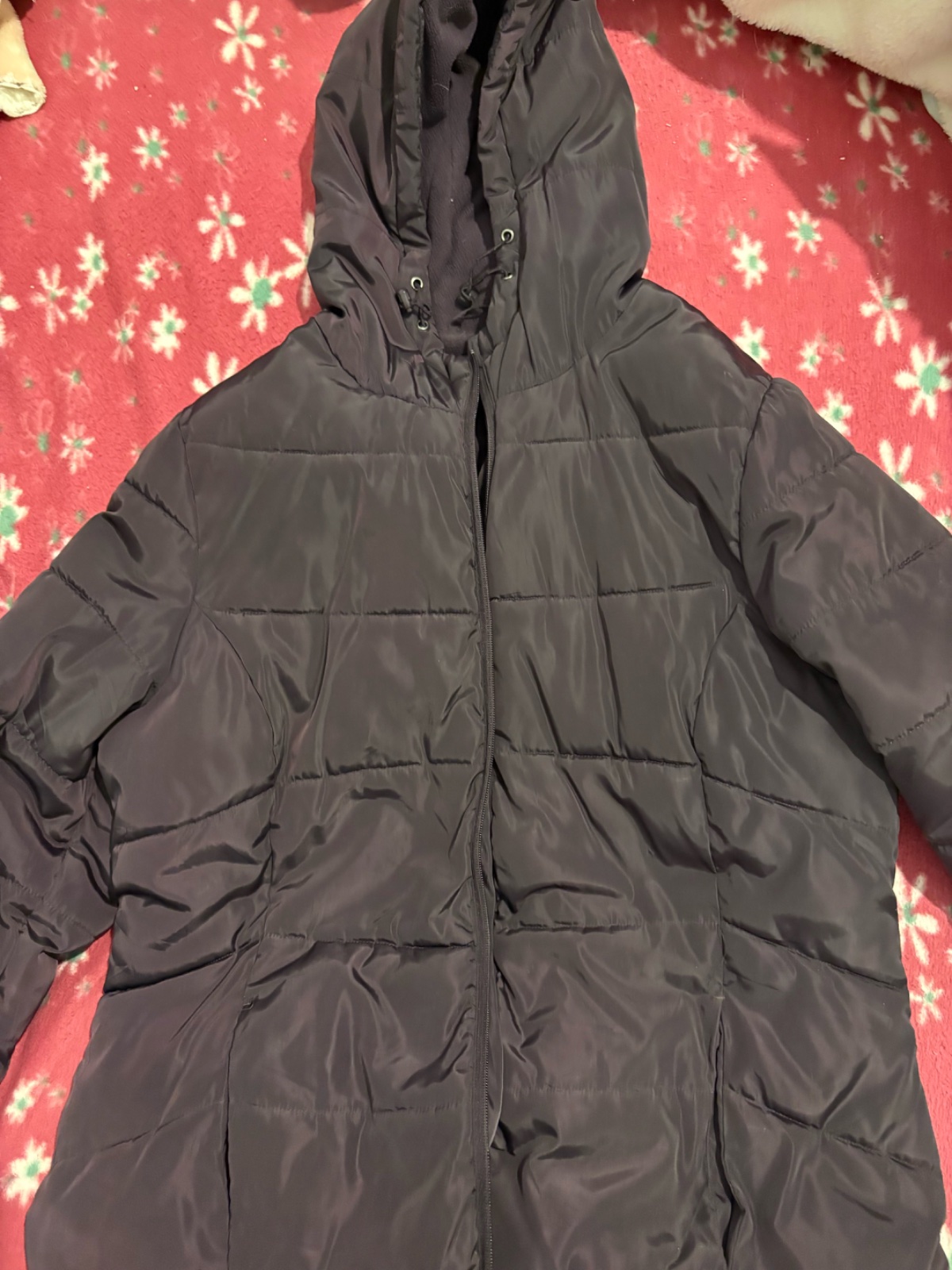 Manteau aubergine