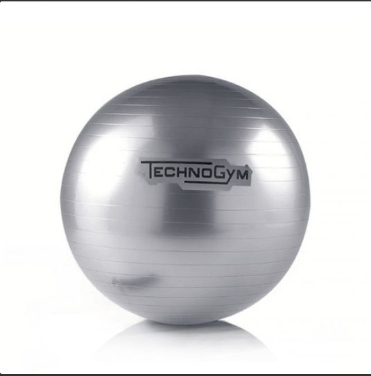 Wellness Ball Technogym 55 cm neuf cacheté 