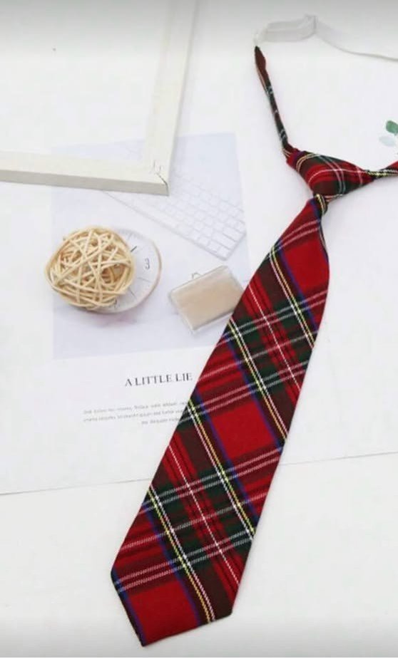 Cravate à motif tartan rouge, mise en valeur par son quadrillage classique aux accents jaunes et bleus