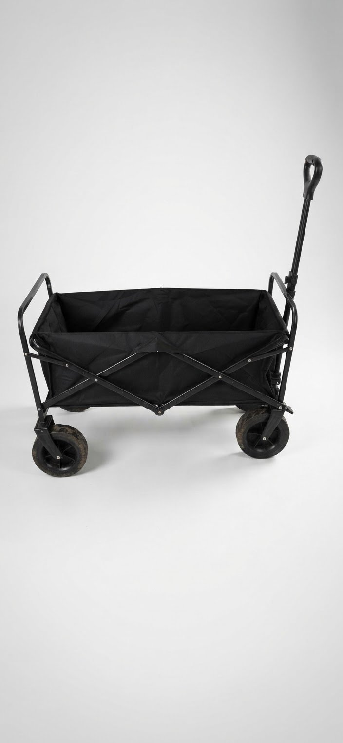 Chariot