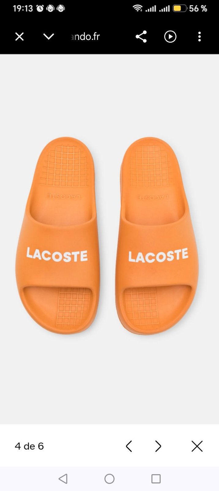 Lacoste
