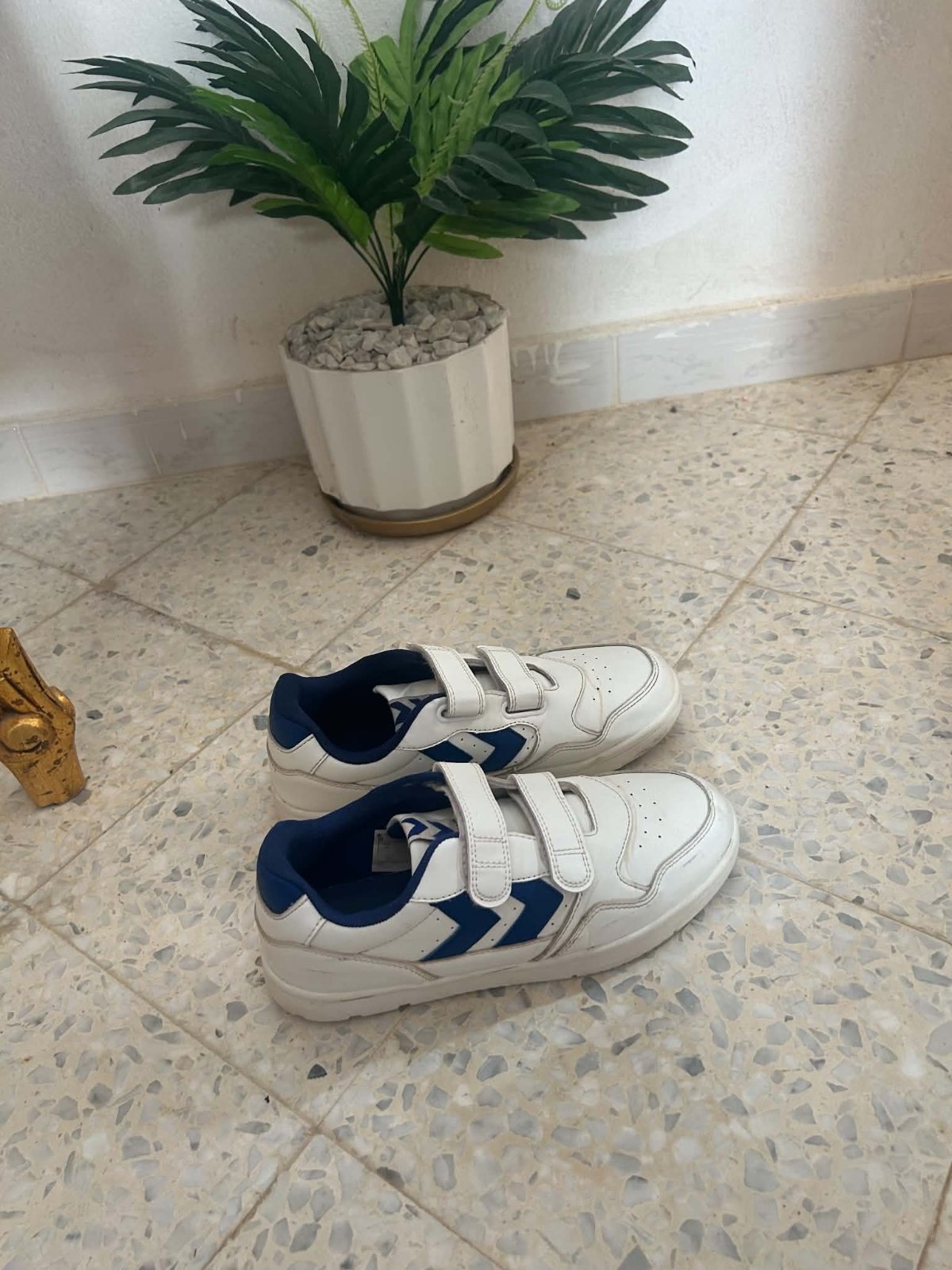 Chausseur hummel