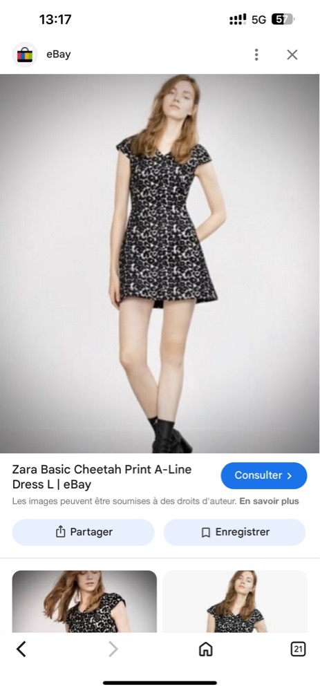 Zara leopard velvet