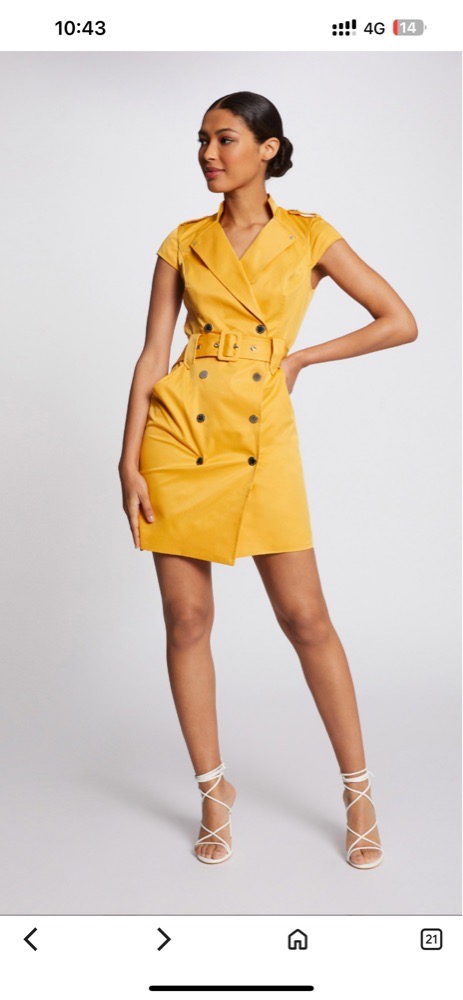 Morgan jaune neuff