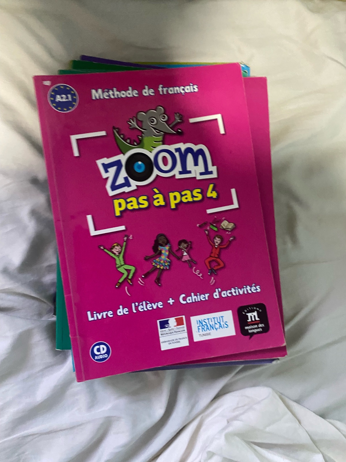 11 livres systeme francais