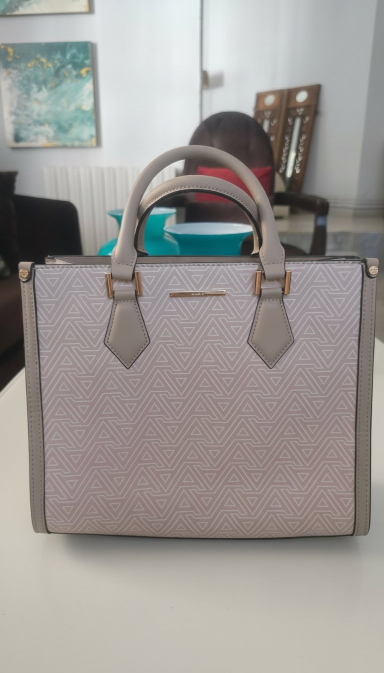 TRÈS BEAU SAC ALDO