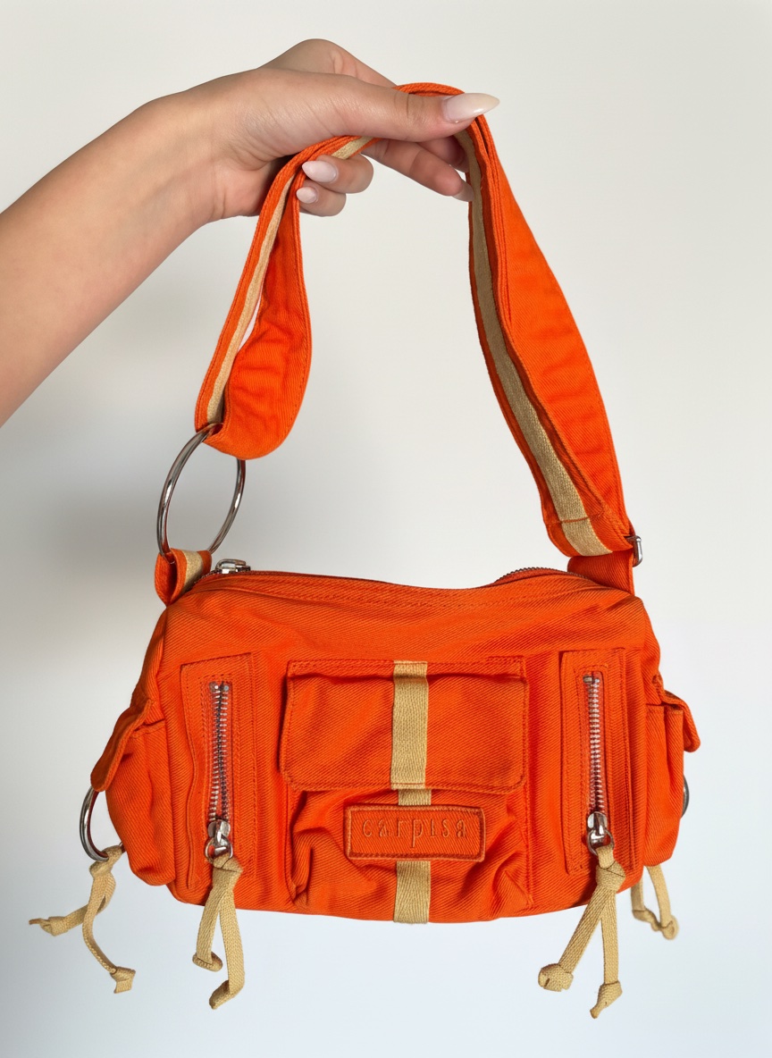Sublime sac a main caprisia  neuf 