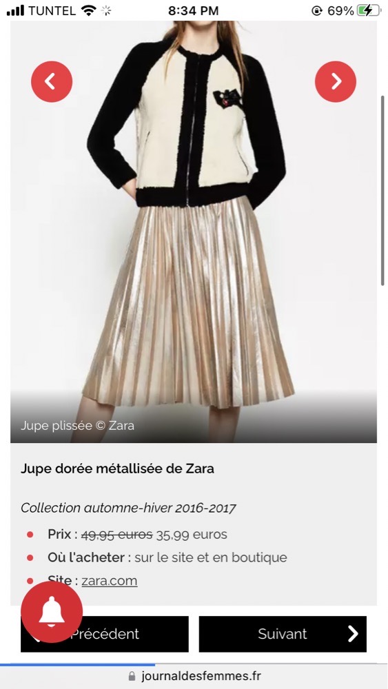 Jupe zara