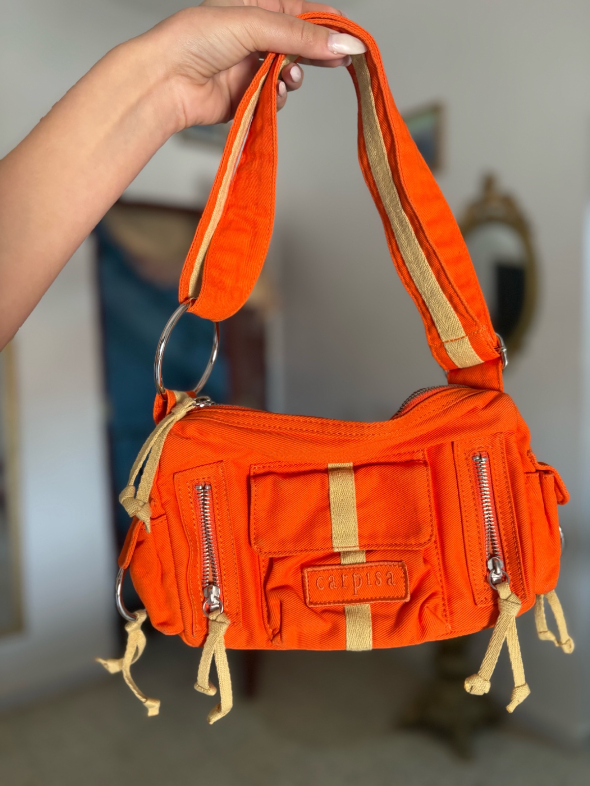 Un petit sac caprisia 