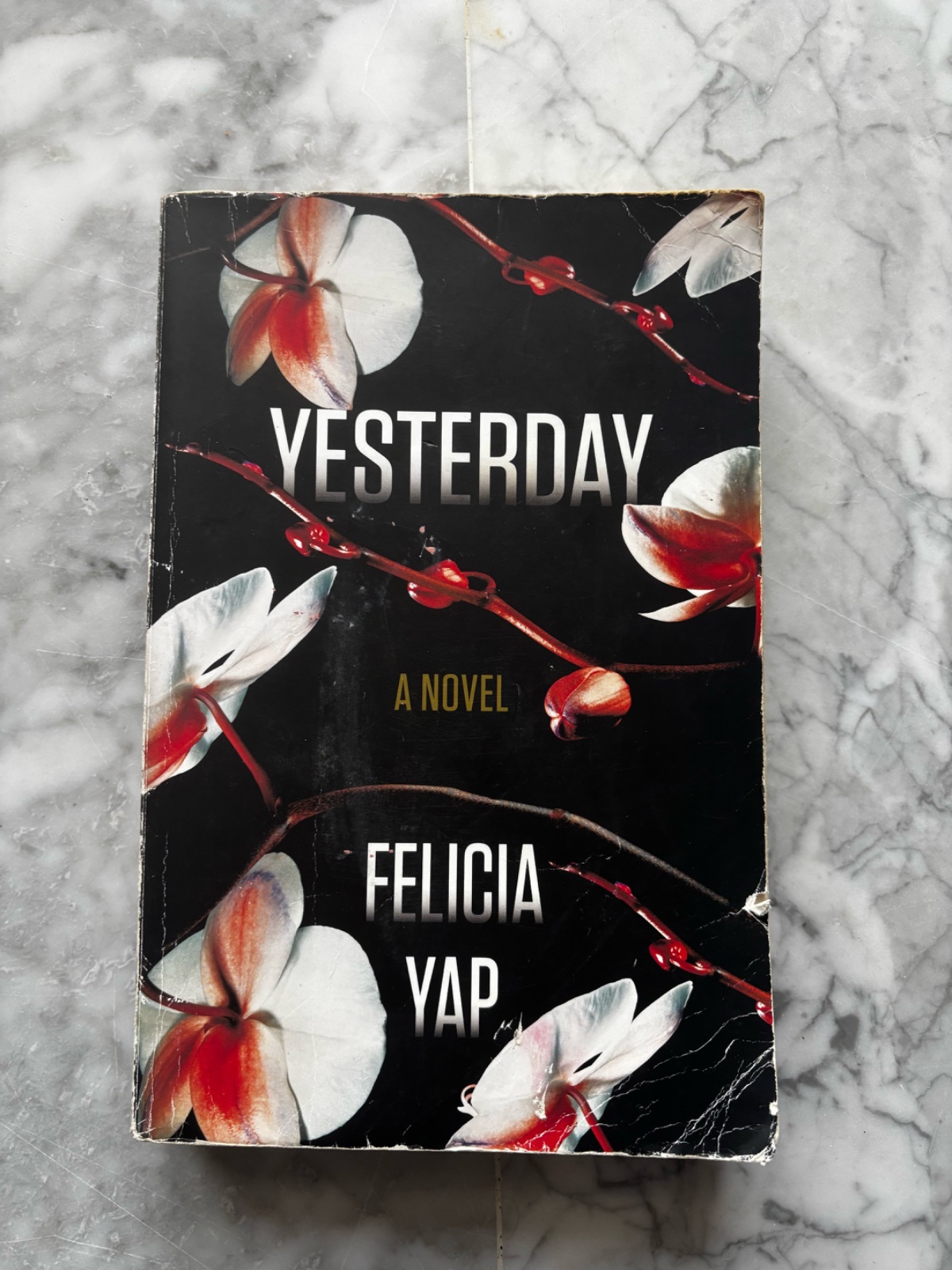 Yesterday - Felicia Yap