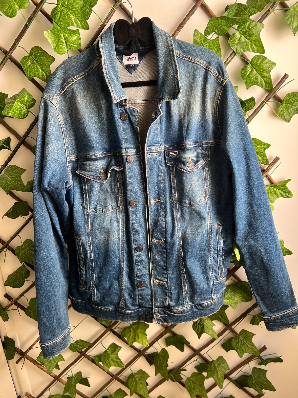 Veste tommy