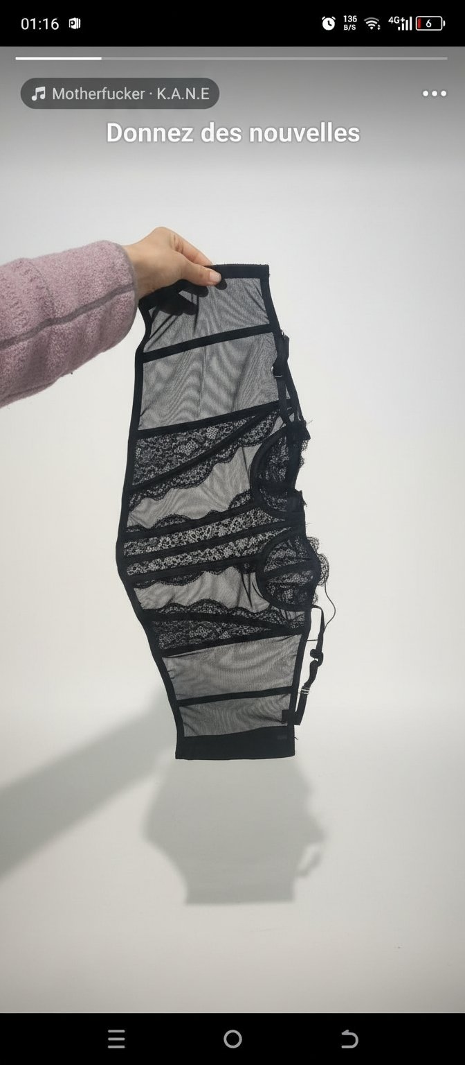 Black Sheer Mesh and Lace Harness Bodysuit