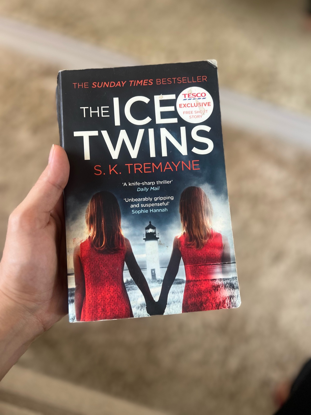 Book "the ice twins"
