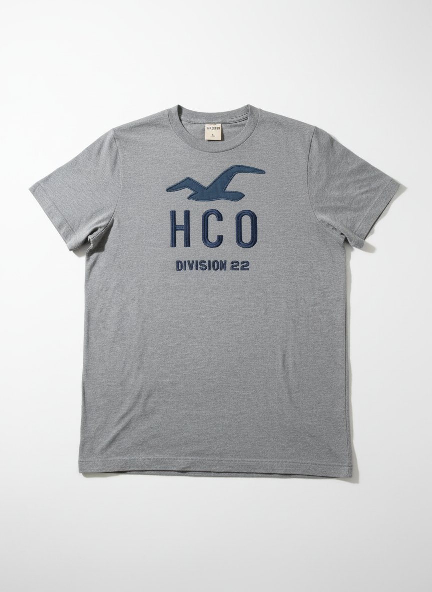 Tee-shirt Hollister 