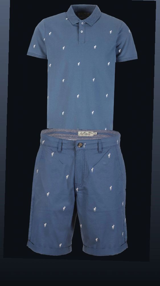 Polo prodé bleu 