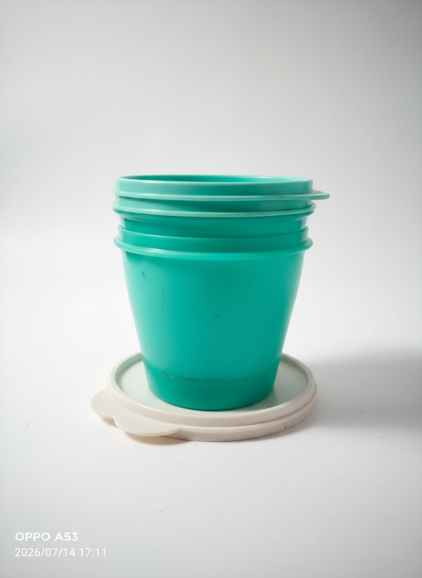 Raviers tupperware 