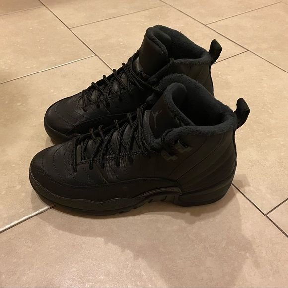 Air jordan 12 winterized