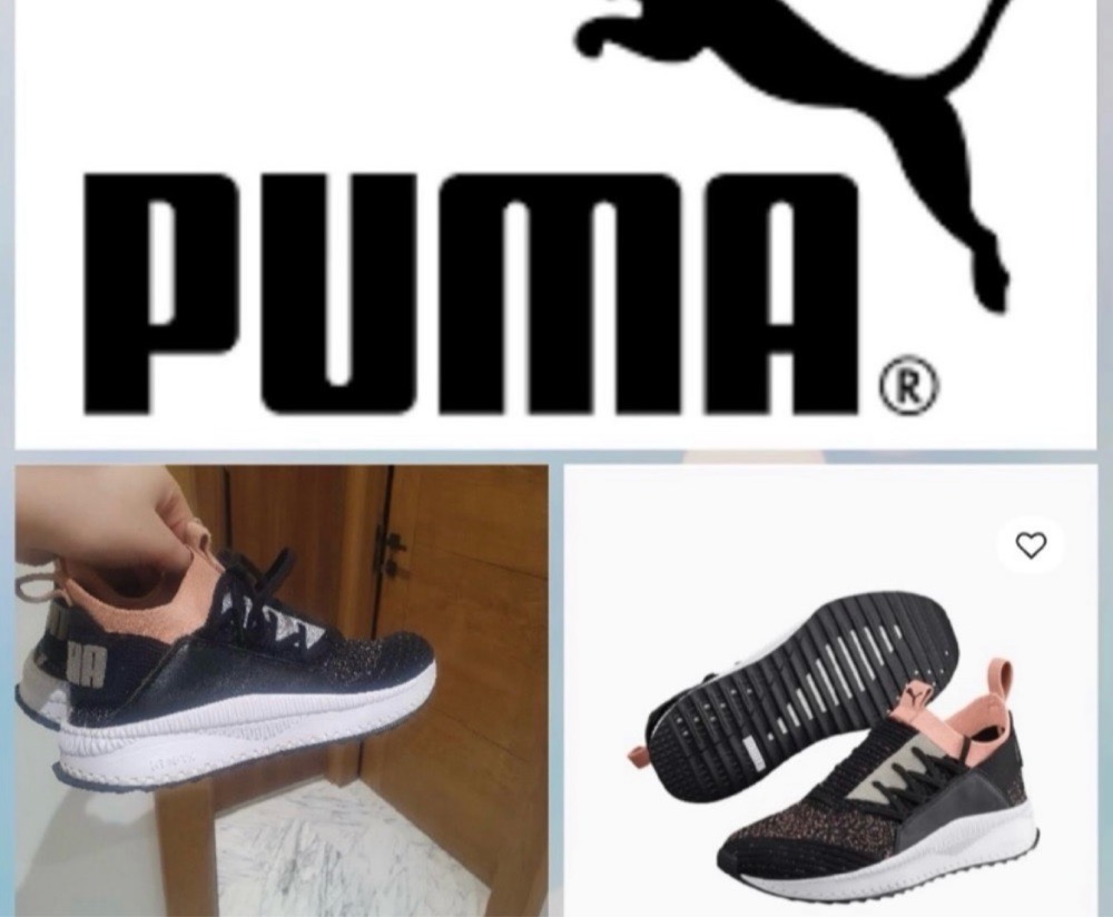 Puma  