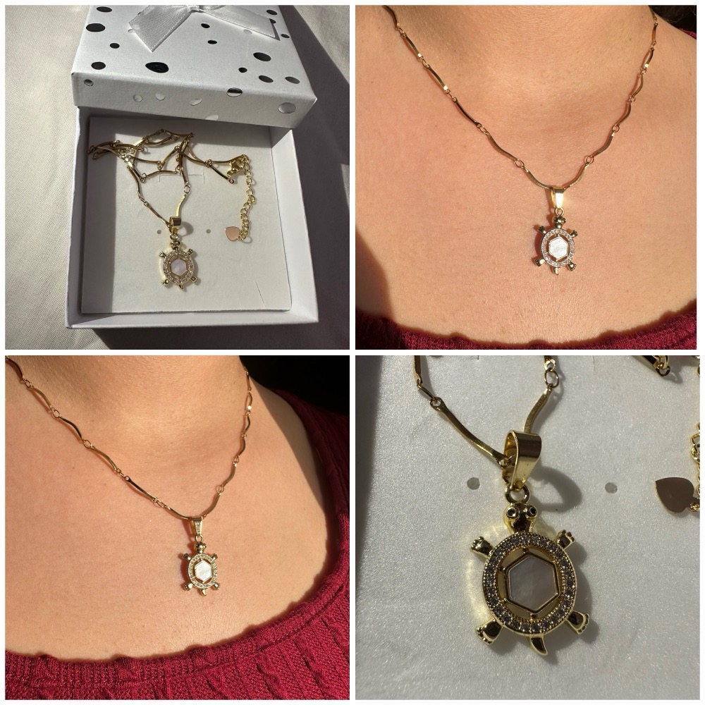 Collier tortue acier inoxydable 😍🌹🐢🐢
