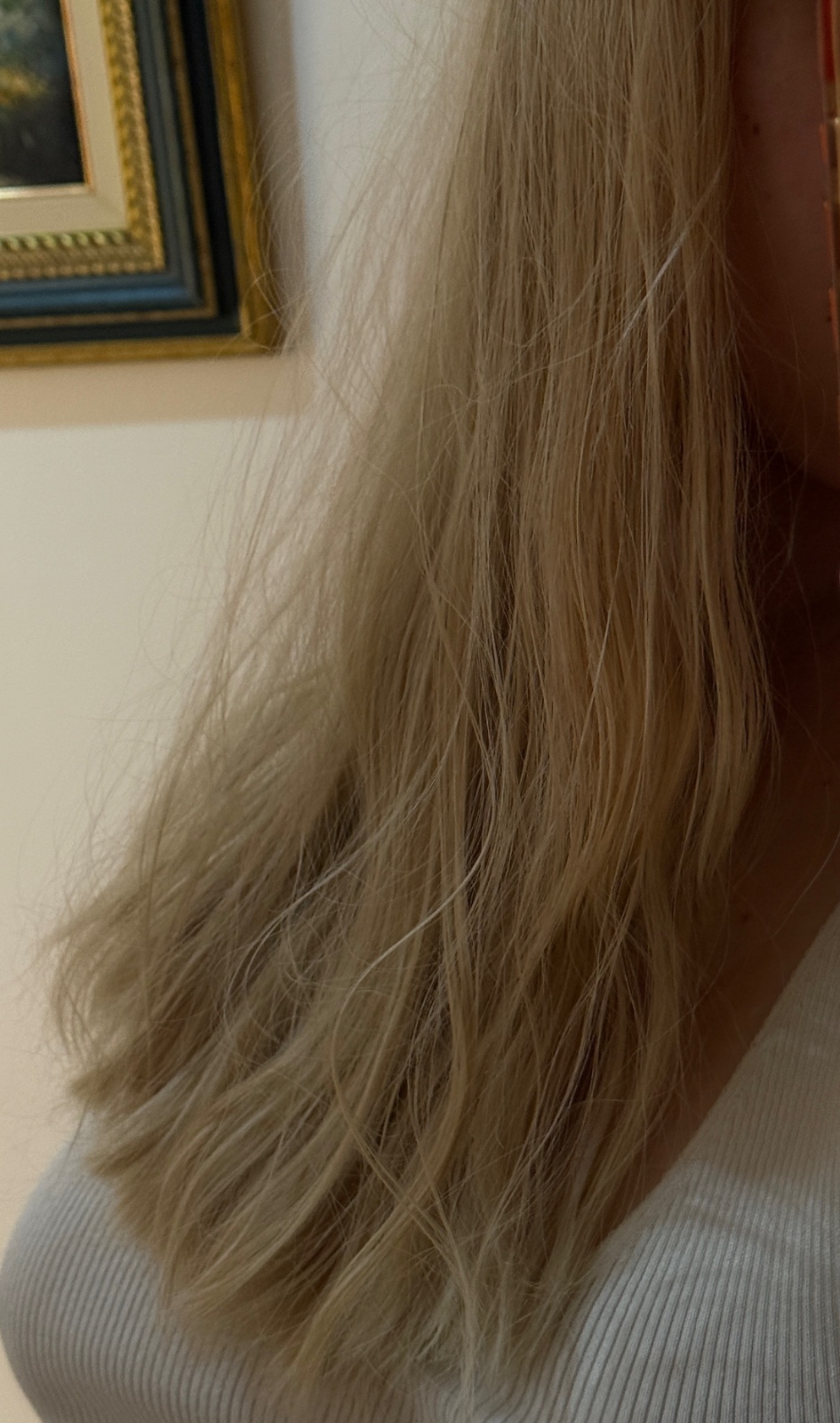 Extension semi naturelle 