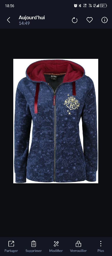 Harry Potter blason