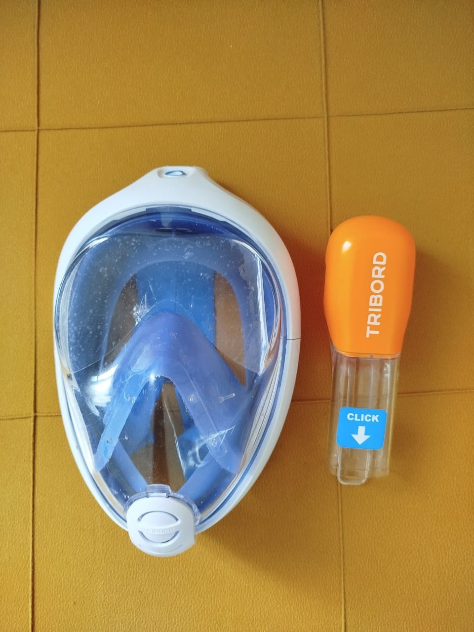 Masque de plangee