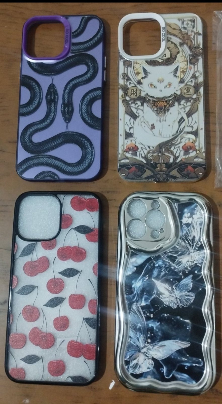 Cache iPhone 13 Pro Max 