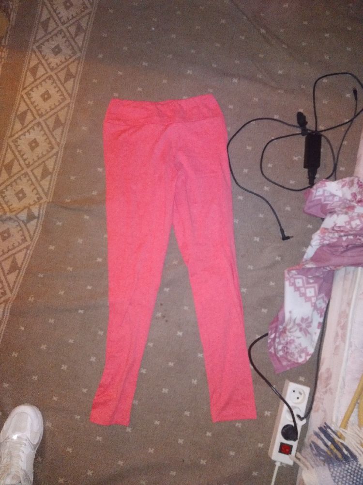 calson sport 