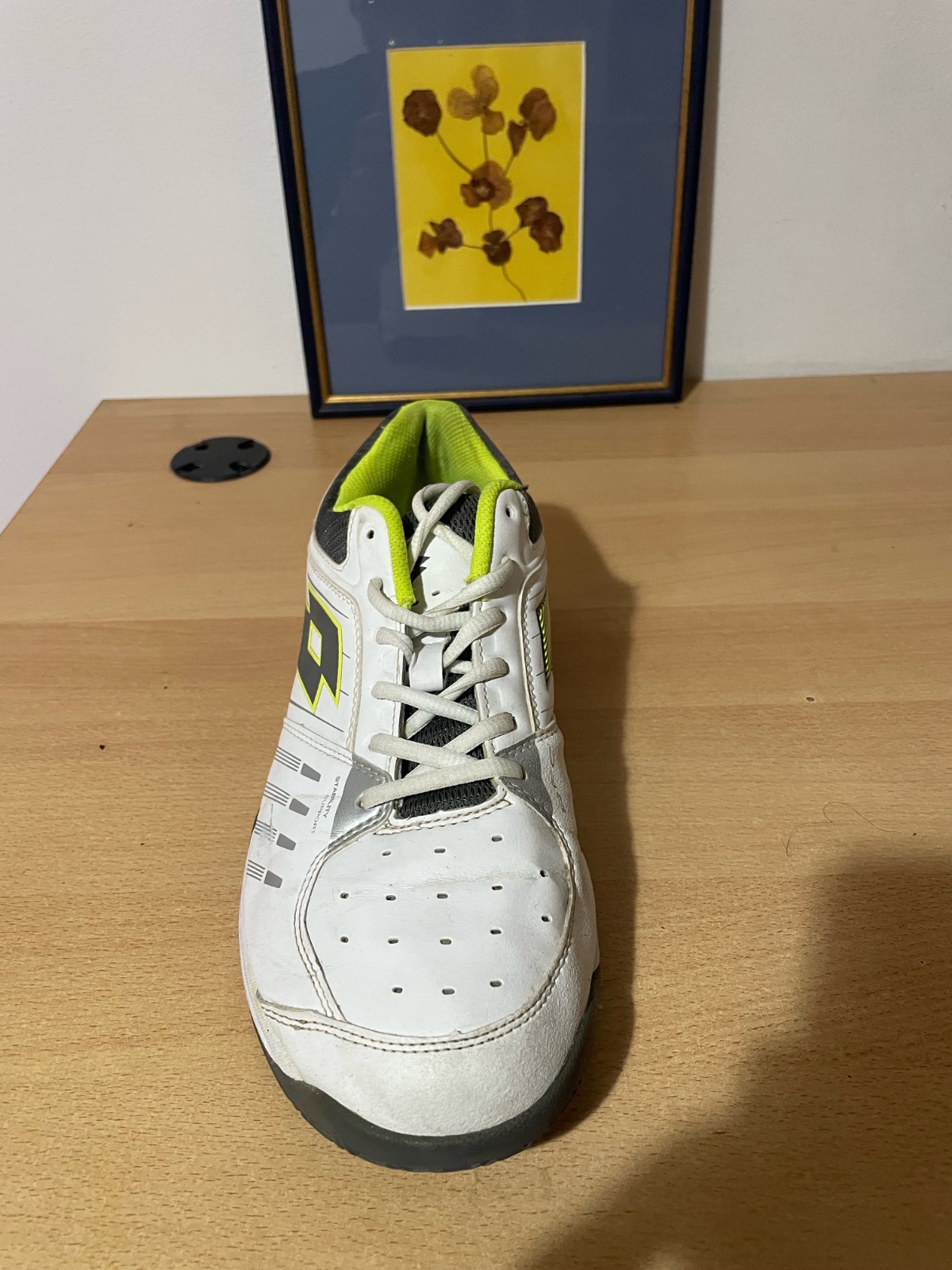 Lotto Zapatillas Pista Rápida T Tour 600