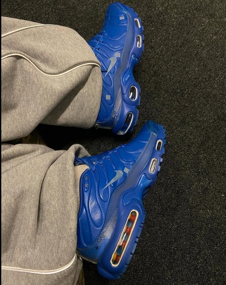Nike air max plus