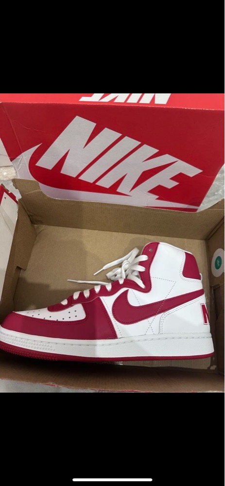 Baskets NIKE - TERMINATOR