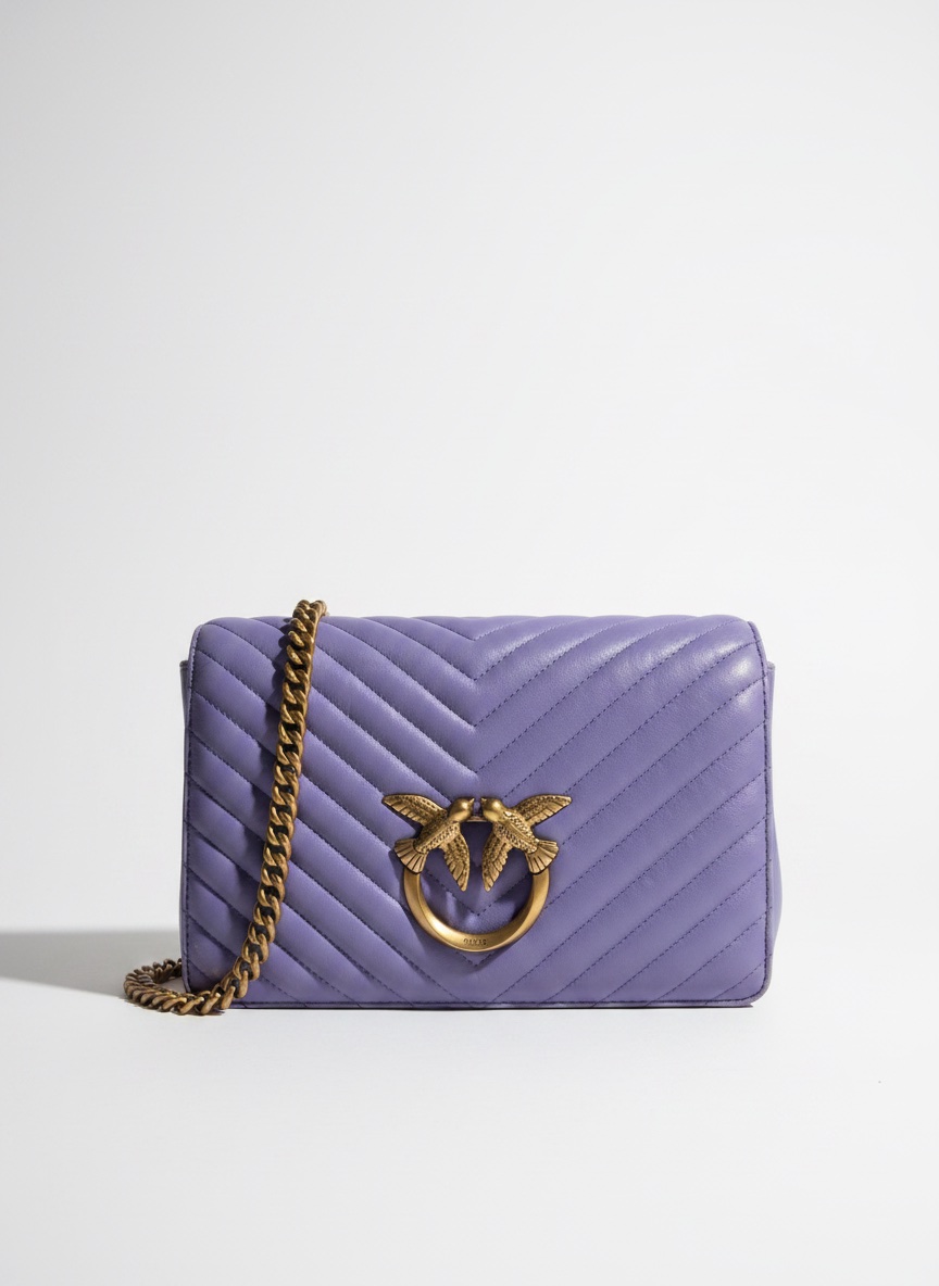 Sac pinko  couleur pasteel 