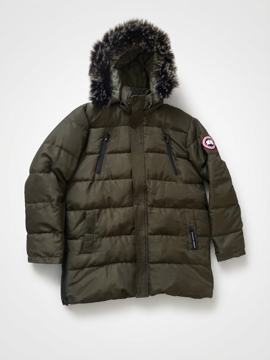 Canada goose L vert 